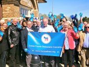 45, the Domino Effect, and Virginia Elections