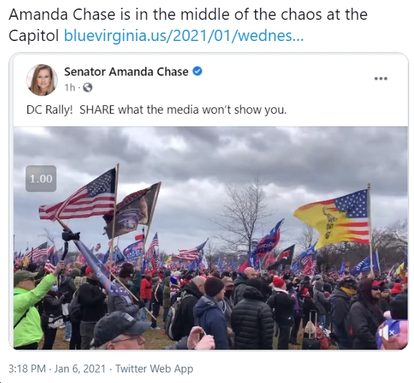 VA Senators John Bell, George Barker, Adam Ebbin, Jennifer Boysko Seek to  Censure Amanda Chase (R) “for fomenting insurrection against the United  States”