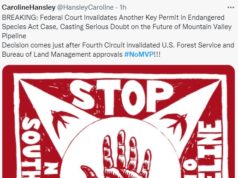 BREAKING: Federal Court Invalidates Another Key Permit in Endangered Species Act Case, Casting Serious Doubt on the Future of Mountain Valley Pipeline