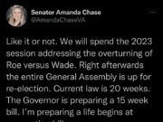 Next Up From Republicans: Attempting to Criminalize Miscarriage in Virginia