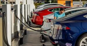 A row of electric vehicles plugged into chargers