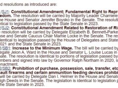 Virginia House, Senate Democratic Caucuses Introduce Legislation to Raise Minimum Wage, Combat Gun Violence Epidemic, Push for Restoration of Rights and Abortion Access