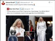 Not Even Two Weeks Since Abigail Spanberger Was Sworn In as Governor, Right Wingers Are Viciously Attacking Her