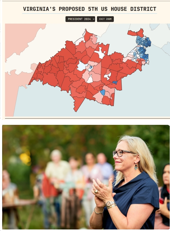 Current VA01 Democratic Candidate Shannon Taylor Announces Intention to Run for Redistricted VA05 “upon passage of new maps”