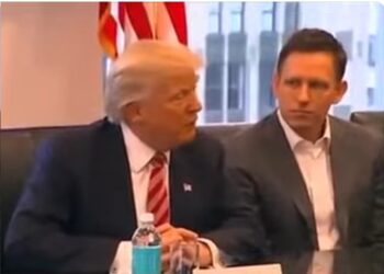 Top Trump Donor and Tech Billionaire Peter Thiel Revealed as Funder of False, Racist “NO” Ads