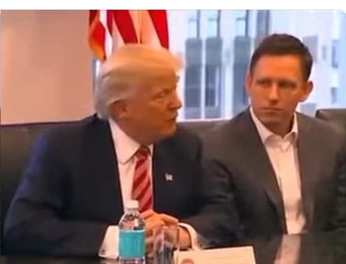 Top Trump Donor and Tech Billionaire Peter Thiel Revealed as Funder o...