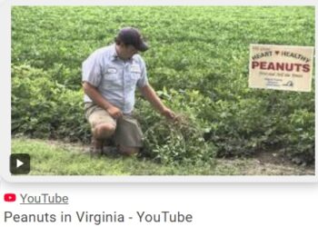 A War In the Middle East, a Gas Pump—and a Farm—in Virginia