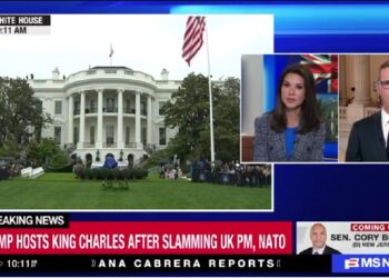 Video: Rep. James Walkinshaw (D-VA11) Says King Charles Not Meeting with Epstein Survivors Is a “Slap in the Face,” a “Huge Missed Opportunity”