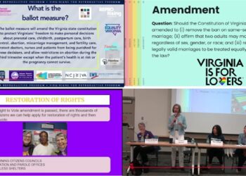Video: LWV-Loudoun Forum Explains the Importance of Passing Three Constitutional Amendments This November (Restoration of Rights, Reproductive Freedom, Marriage Equality)