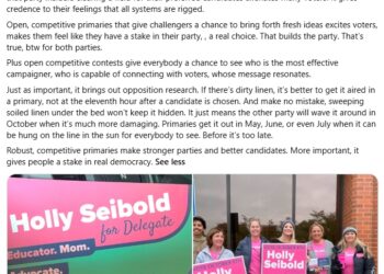 Thoughts on VA Del. Holly Seibold’s Argument That Voters Get “frustrated with politics that feels more focused on protecting incumbents…keeping power concentrated among the same people”