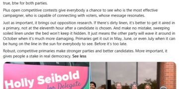 Thoughts on VA Del. Holly Seibold’s Argument That Voters Get “frustrated with politics that feels more focused on protecting incumbents…keeping power concentrated among the same people”