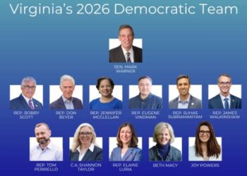 Compared to Previous Years, How Did Left-Leaning Candidates Fare in the 8/4 VA Dem Primaries?