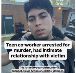 Right Wingers Exploit Fairfax County Murders by Immigrants for Political Gain – Even as Violent Crime Is Overwhelmingly Committed by Native-Born Americans