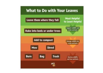 Banning Gas-Powered Leaf Blowers – Polluting, Loud, Bad for Habitats, etc. – Should Be a No-Brainer. So Why Doesn’t Virginia Explicitly Allow Localities to Ban Them?